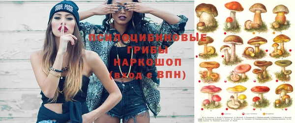 mdpv Баксан