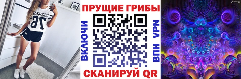 Псилоцибиновые грибы Magic Shrooms наркота Богучар